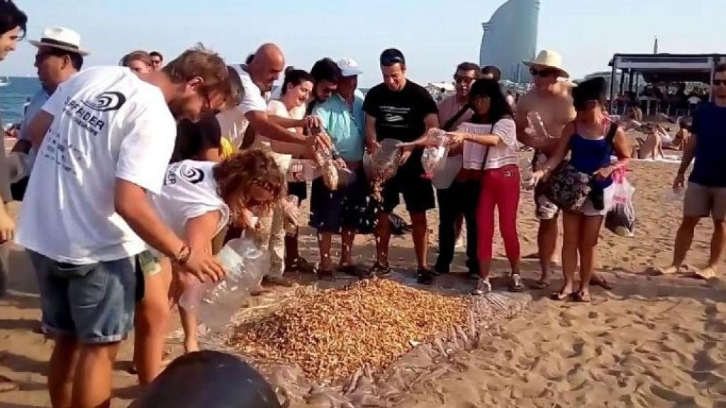 Recogida de colillas en la playa en una imagen de archivo / HUGO FERNÁNDEZ