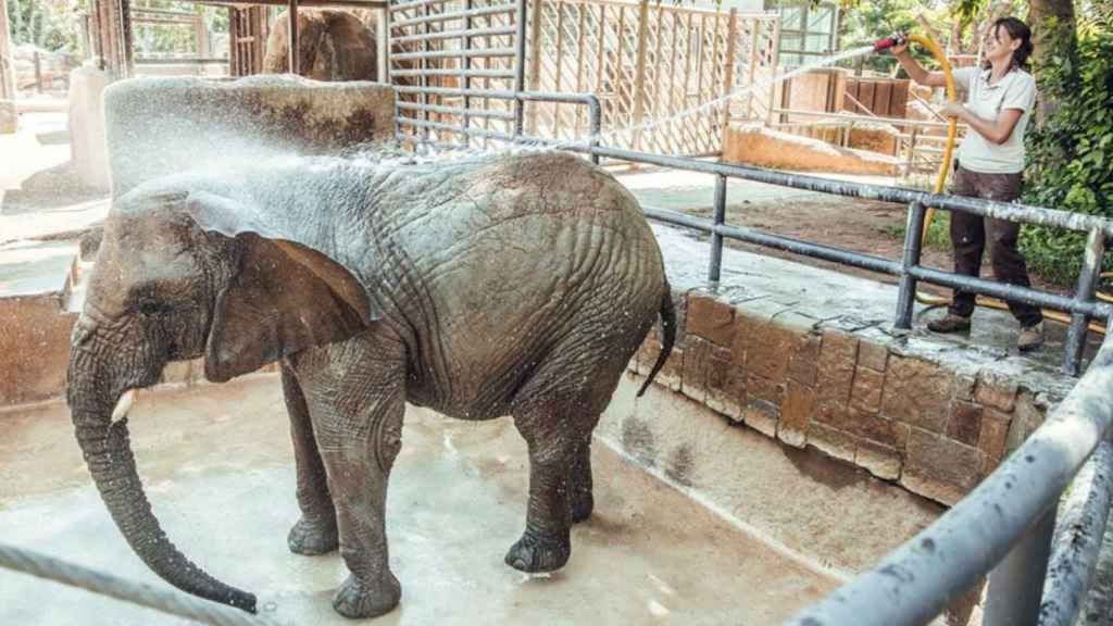 Zoo de Barcelona