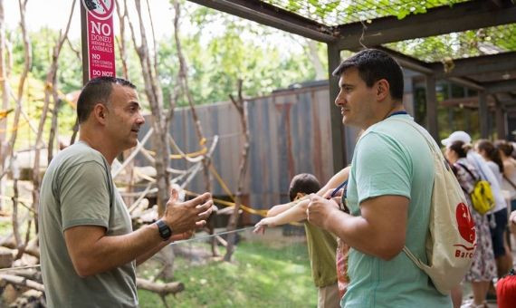 Galería de chimpacés del Zoo de Barcelona