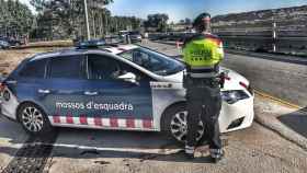 Los Mossos intervienen 600 kg de peces pequeños en la Mar Bella / MOSSOS D'ESQUADRA