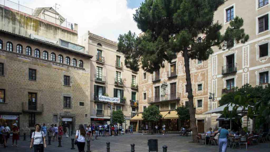 El pino es el símbolo de la plaza / HUGO FERNÁNDEZ