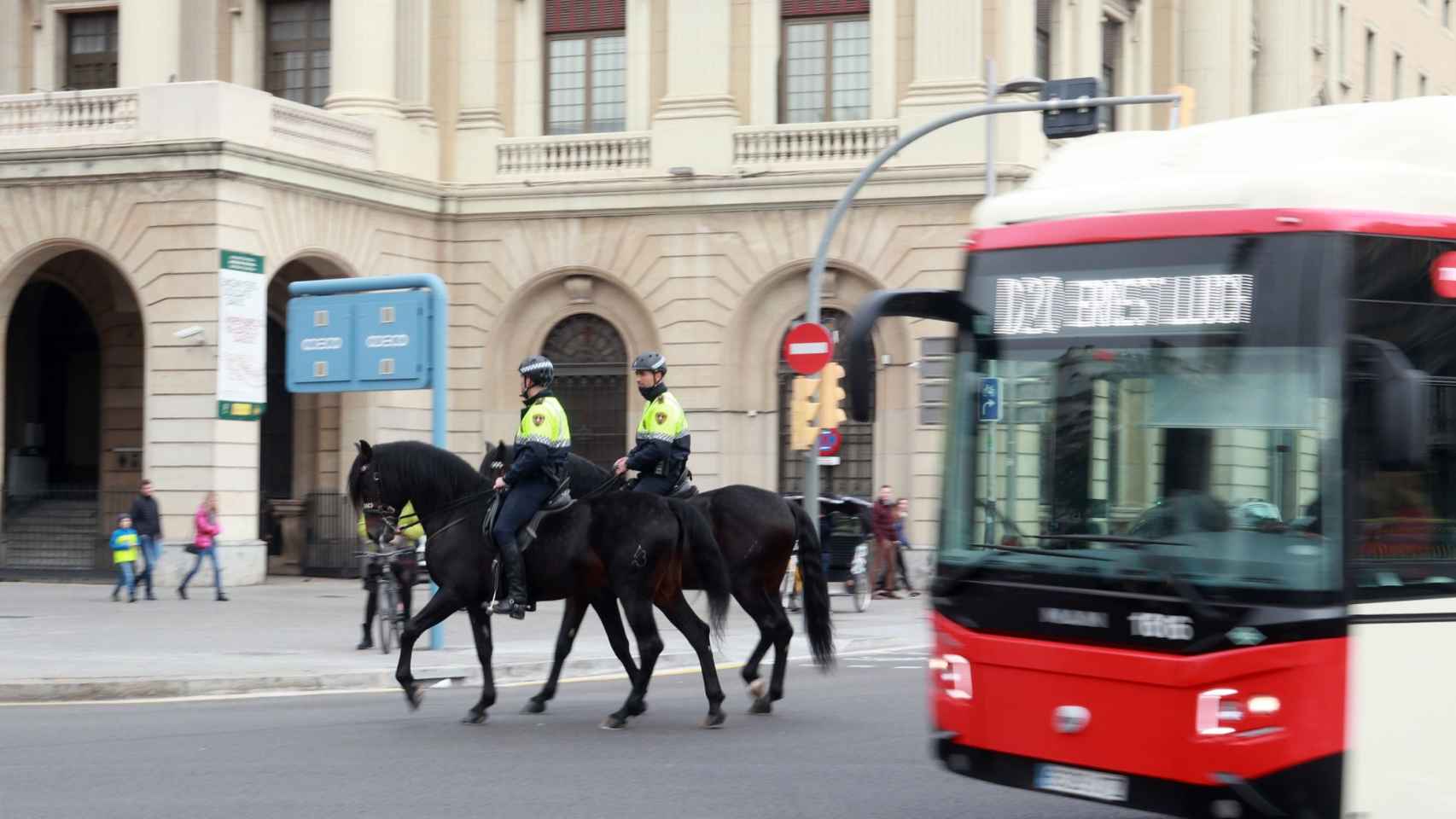 Agentes de la Guàrdia Urbana a caballo patrullando por la parte baja de La Rambla / HUGO FERNÁNDEZ