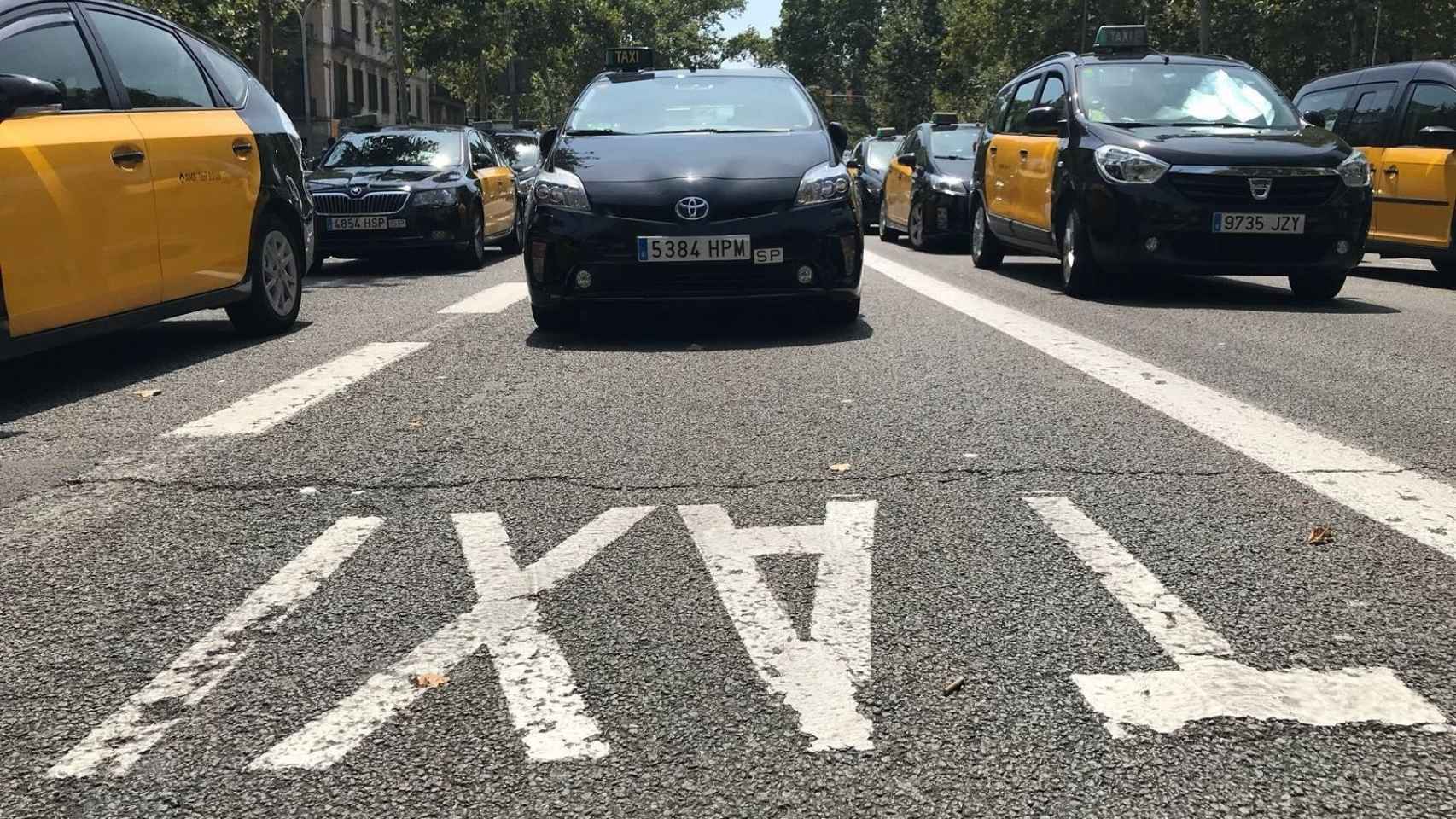 Los taxistas quieren 'seducir' a los barceloneses / ARCHIVO