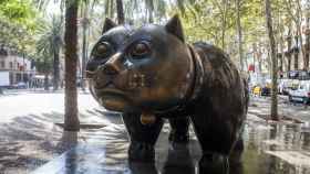 El gato de bronce de Botero que da la bienvenida a la Rambla del Raval / H.F.