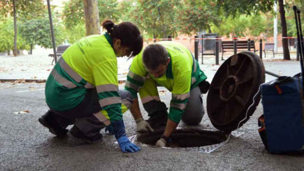 Técnicos de Lokímia, la empresa que ha llevado a cabo los análisis