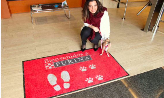 Algunas oficinas ya dan la bienvenida a las mascotas de los trabajadores / PURINA