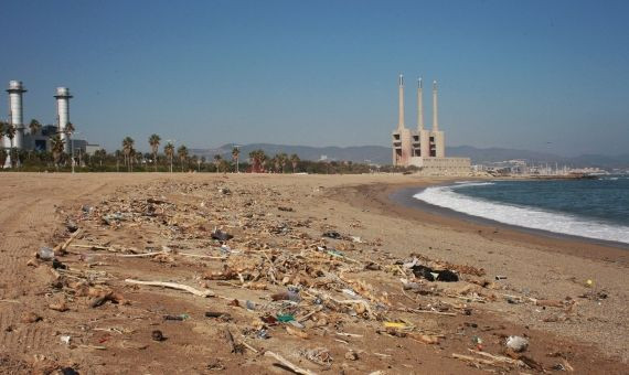 Los residuos han amarrado en las costas del Fòrum / HUGO FERNÁNDEZ