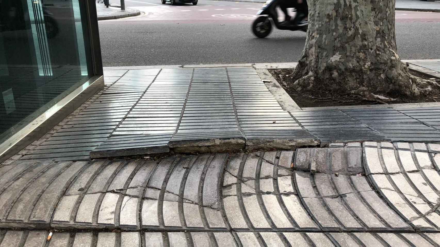 Imagen de los desperfectos en La Rambla