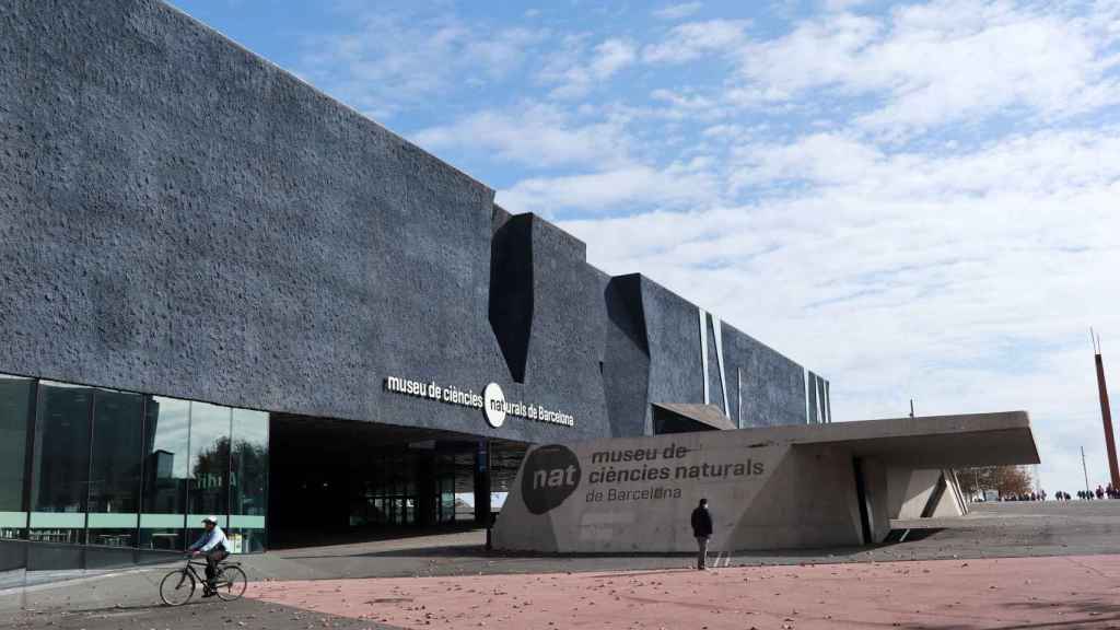 El Museu Blau o Museu de les Ciències Naturals albergará un gran jardín en la azotea cuyas obras no tienen por ahora fecha de finalización / HUGO FERNÁNDEZ