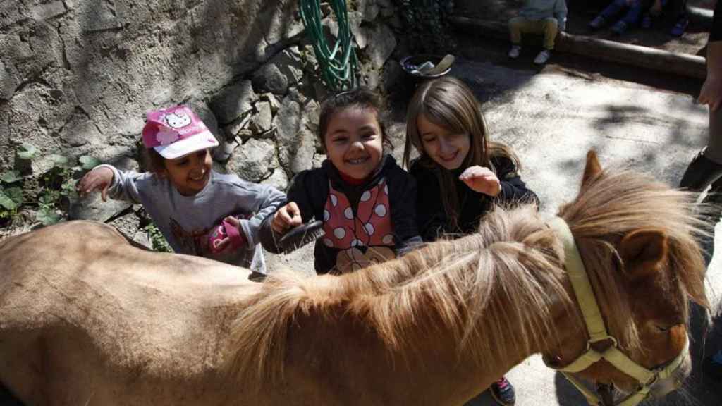 Tres niños junto a un poni, en el parque de la Oreneta, en Barcelona