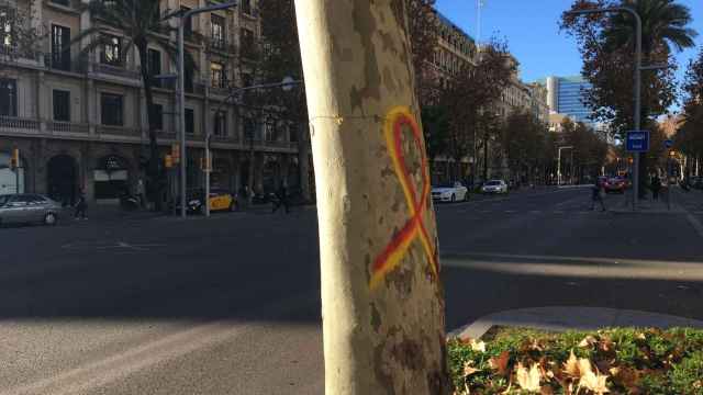 Un árbol de la Diagonal pintado con un lazo amarillo y repintado encima de rojo / HUGO FERNÁNDEZ