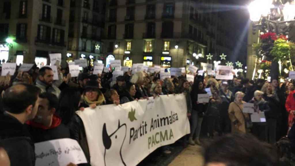 La manifestación animalista acabó en incidentes / Pacma