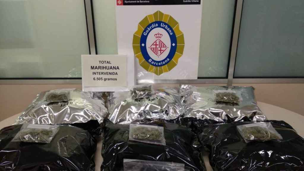 Alijo de marihuana incautado en Barcelona / GUÀRDIA URBANA