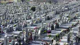 El cementerio de La Almudena es el más popular de Madrid