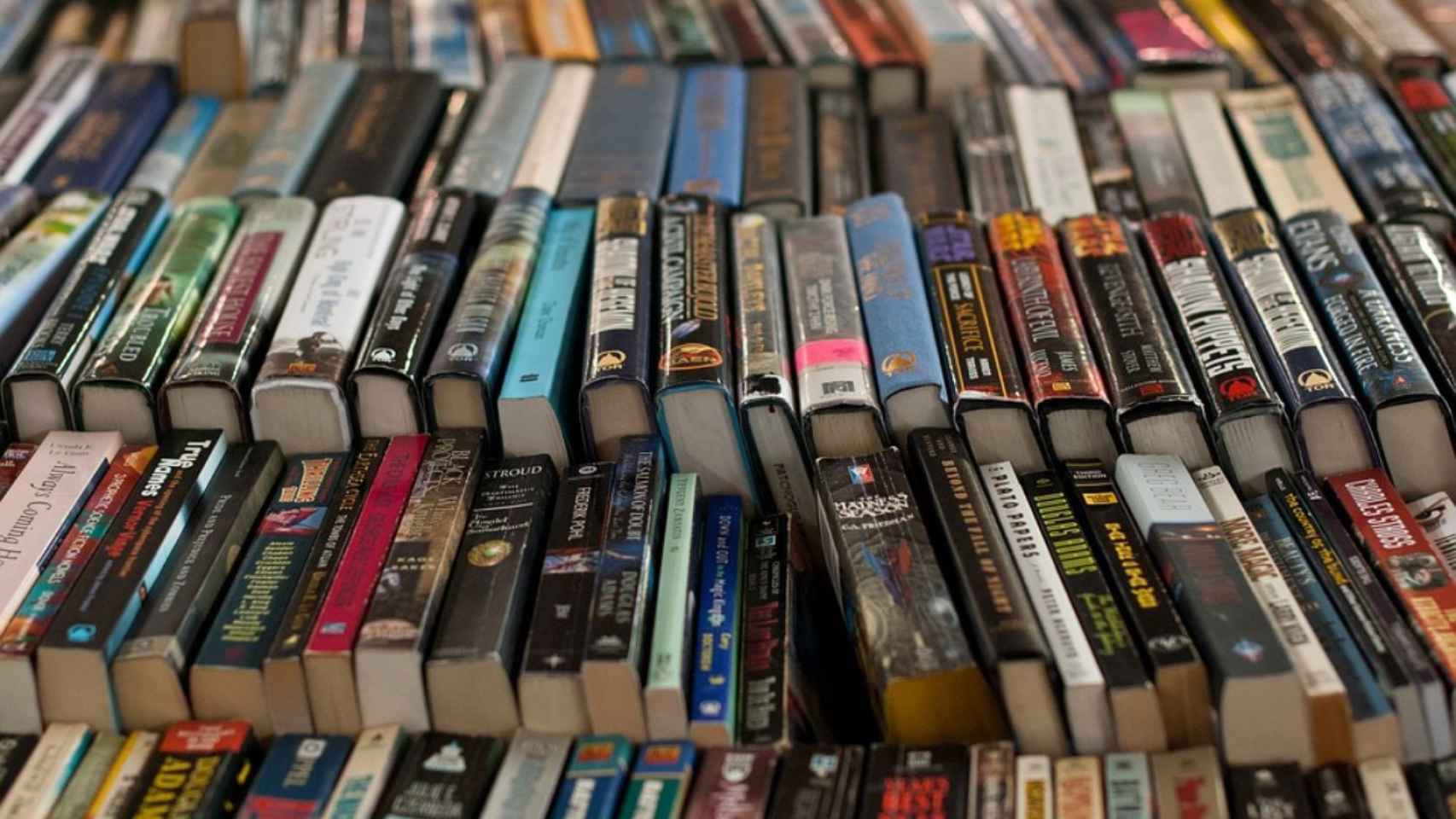 Multitud de libros / PIXABAY