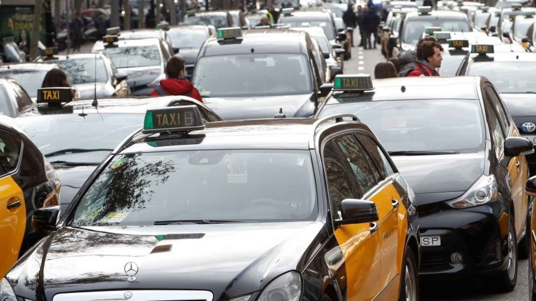 Taxis circulando en Barcelona/ ARCHIVO