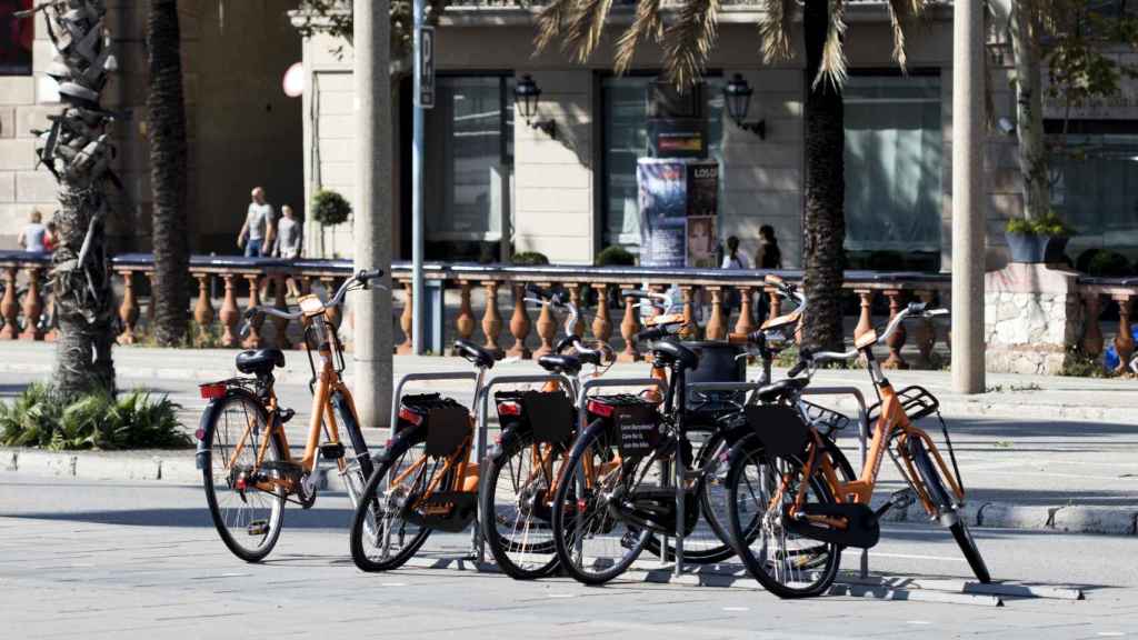 Bicicletas turísticas aparcadas en el paseo de Colón / HUGO FERNÁNDEZ