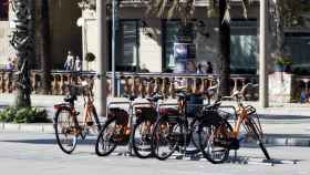 Bicicletas turísticas aparcadas en el paseo de Colón / HUGO FERNÁNDEZ