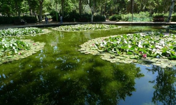 Así lucía el lago del Turó Park antes de la reforma