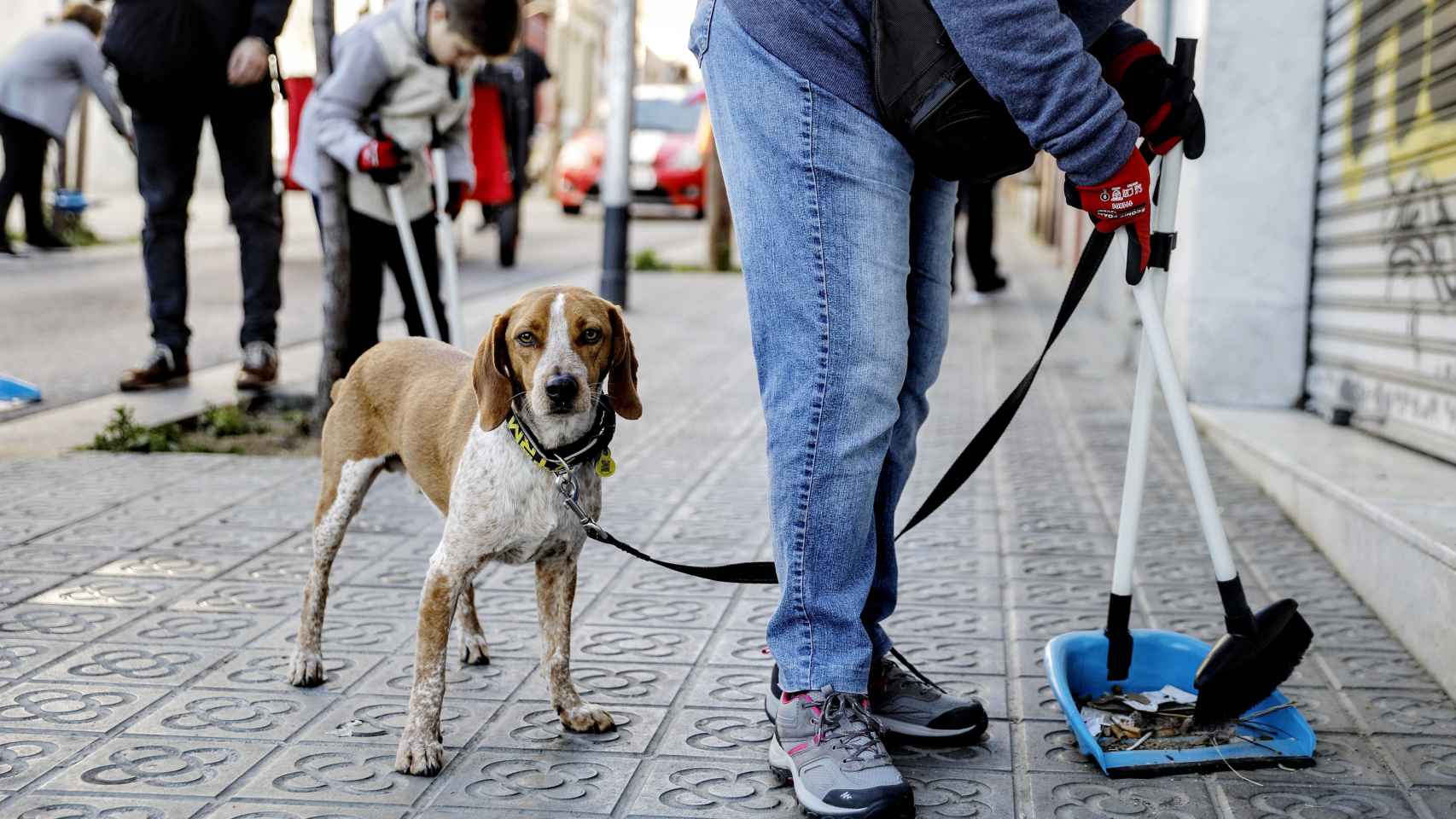 Vecinos y entidades de 'la Trini' recogen la basura con Ada Colau / AYUNTAMIENTO DE BARCELONA