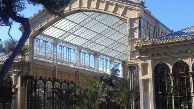 El Hivernacle del parque de la Ciutadella, que se encuentra cerrado y abandonado desde hace años / JORDI SUBIRANA