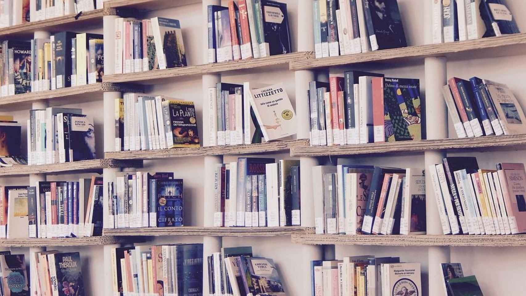 Una estantería llena de libros originales para este Sant Jordi / PIXABAY