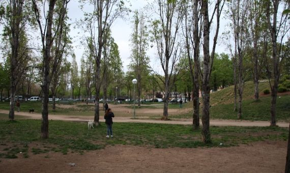 Zona ajardinada del parque de Can Dragó / M. B.