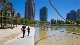 Los vecinos denuncian la muerte de ánades en el Parque de Diagonal Mar / AYUNTAMIENTO DE BARCELONA