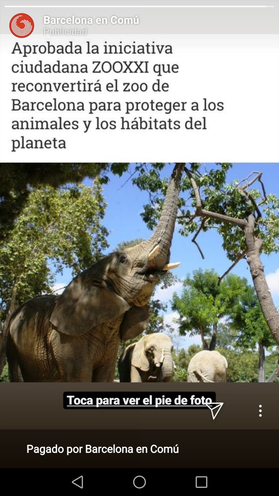 Una de las noticias de Barcelona en Comú que aparece en InstaStories 