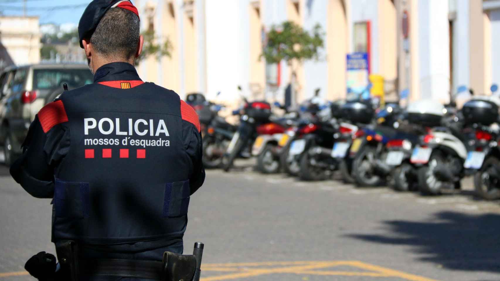 Operación de Mossos contra el tráfico de marihuana