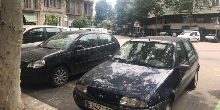 Dos coches llenos de excrementos de palomas en la calle París de Barcelona