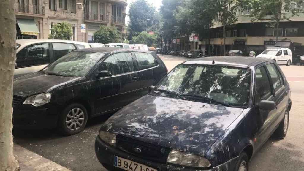 Dos coches llenos de excrementos de palomas en la calle París de Barcelona