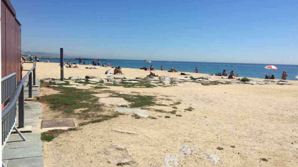 El apuñalamiento ha tenido lugar en la playa de Bogatell / CR