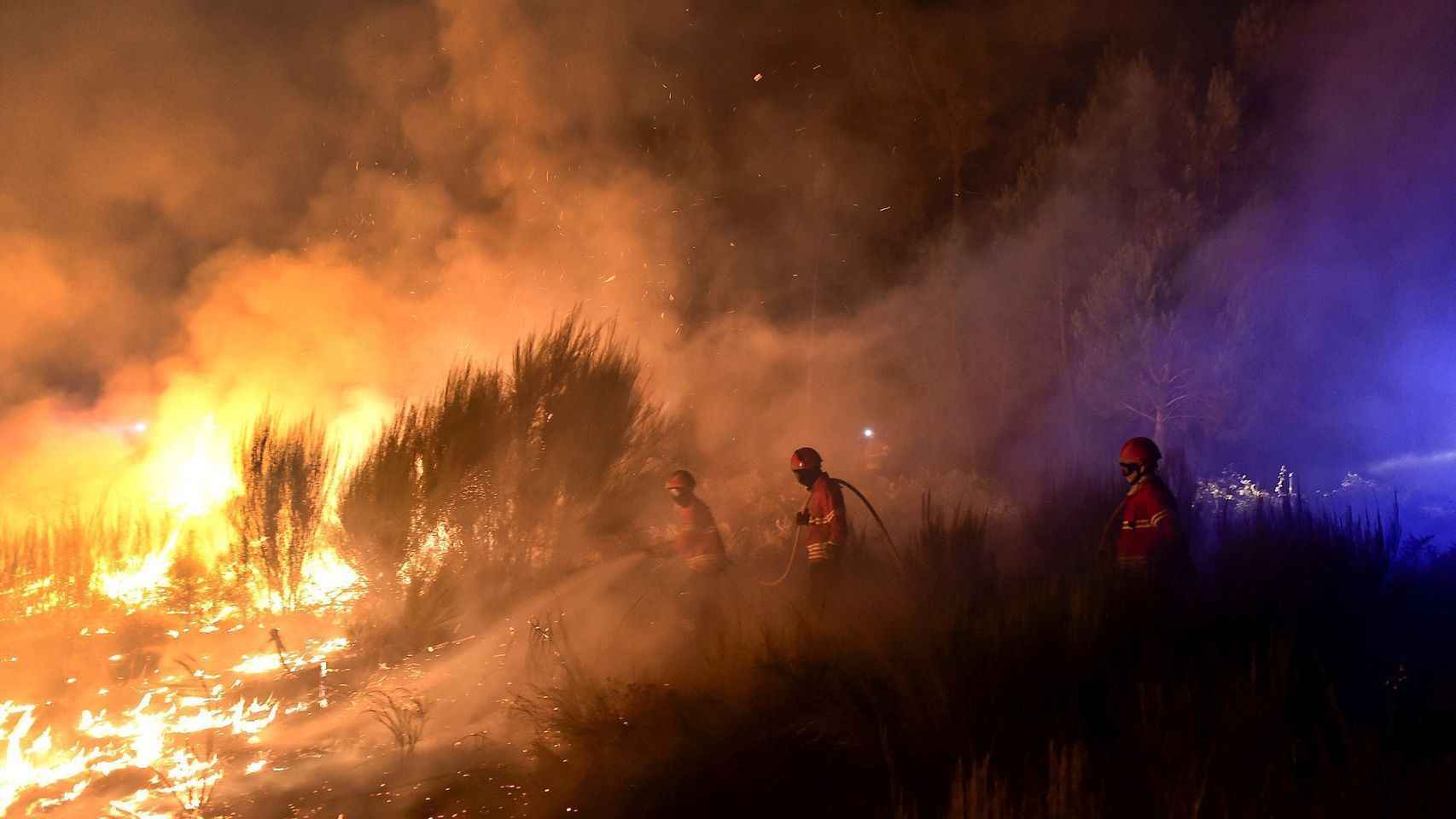 Una imagen de archivo de un fuego descontrolado en un bosque de Barcelona