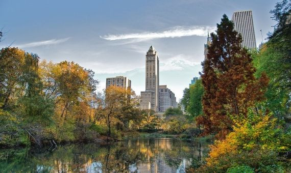 Central Park de Nueva York / WIKI