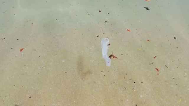 Un preservativo flotando en la playa de la Barceloneta / MA