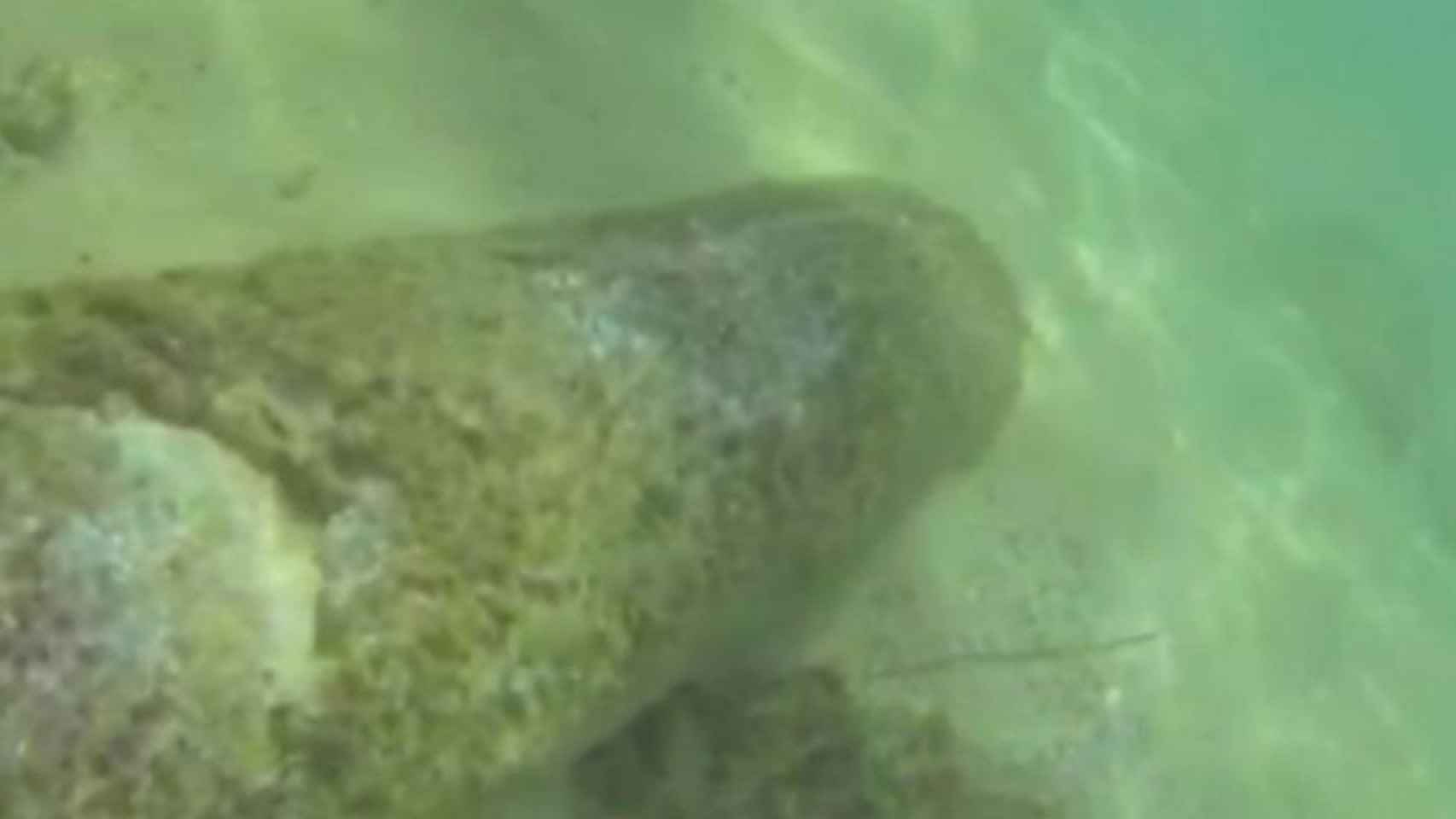 Objeto localizado en la playa del Cristall de Badalona