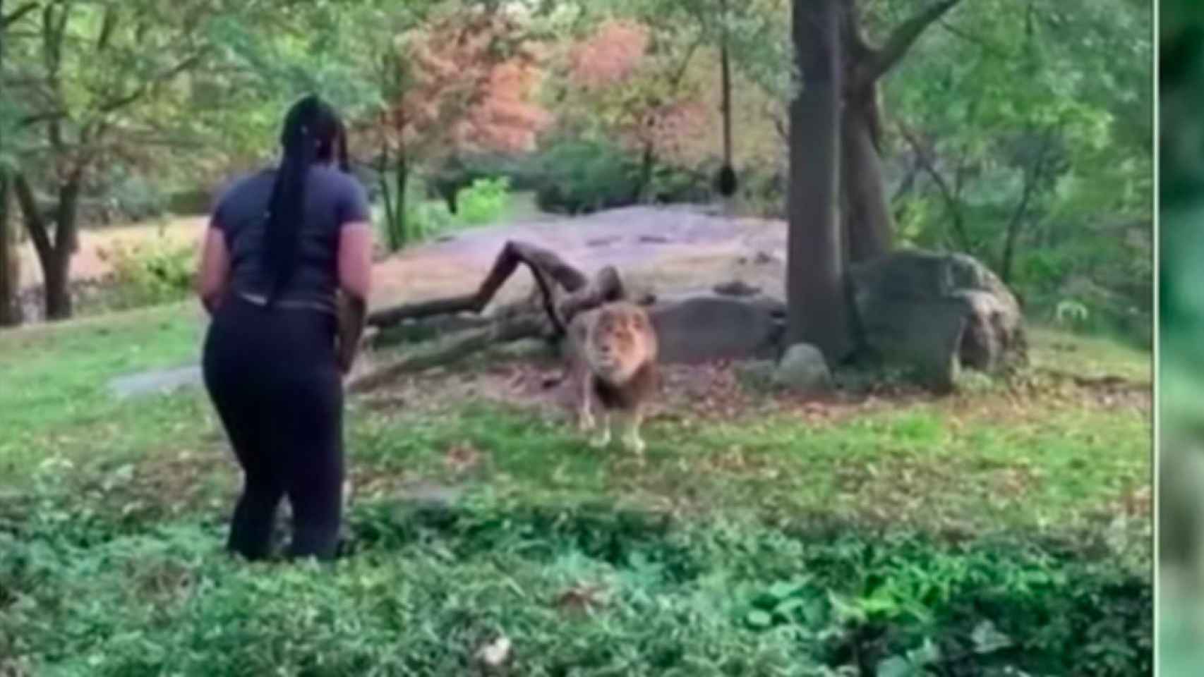 La mujer en el interior de la fosa del león / CBS NEW YORK