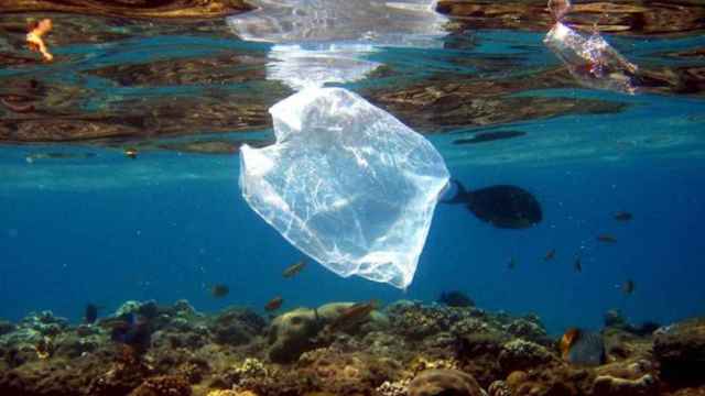 Una bolsa de plástico y otra basura camuflada entre los peces en el mar / EFE