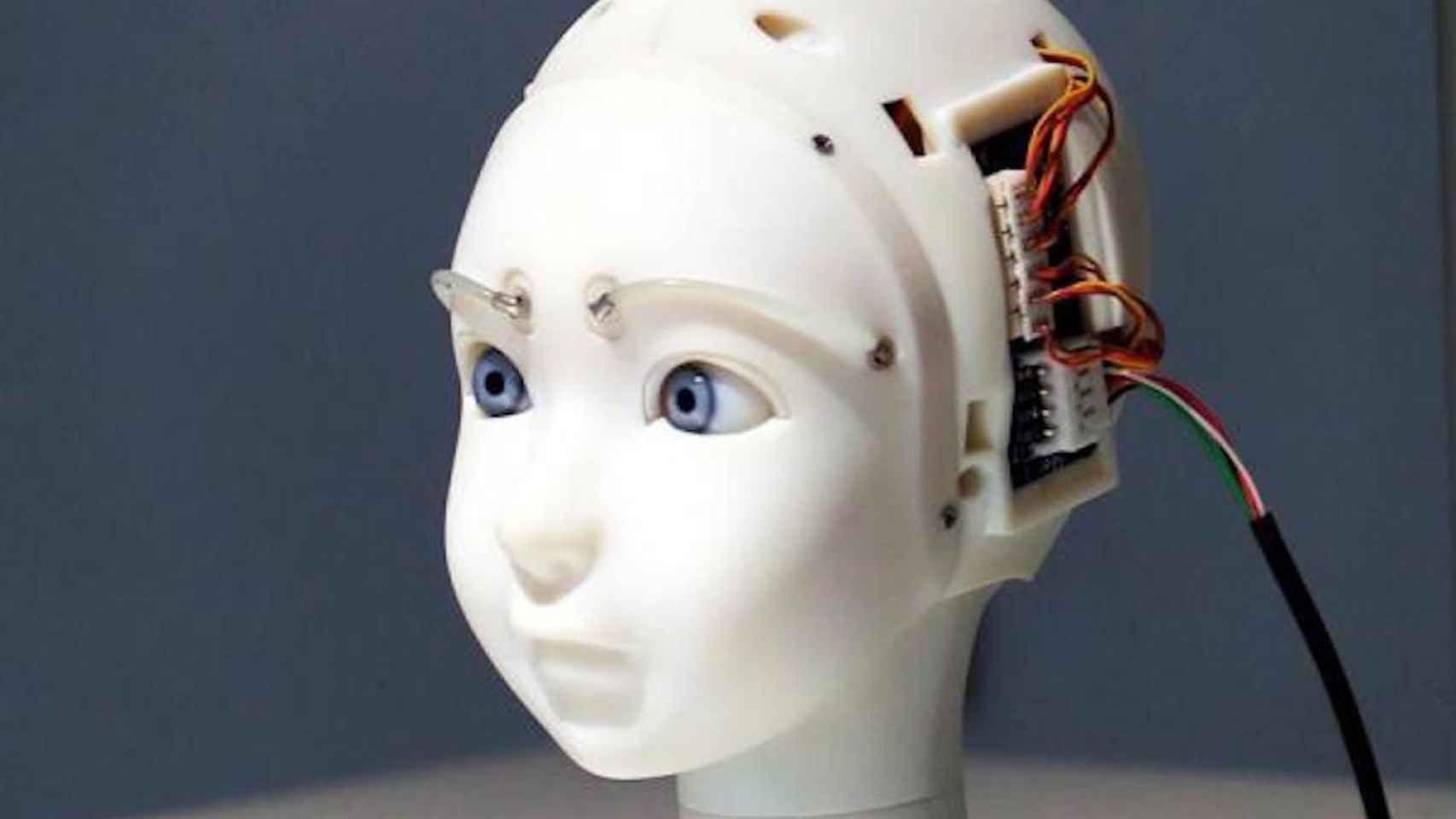 Uno de los robots de la exposición que recrea como sería el mundo con la extinción humana