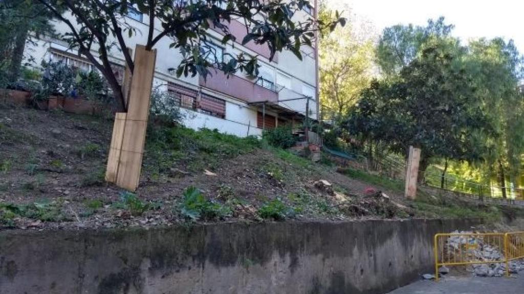 Vegetación arrasada en Ciutat Meridiana