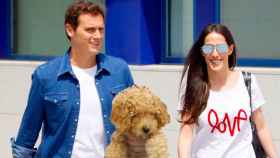 Rivera, el perro Lucas y Malú, tres de los protagonistas de los memes de Twitter / BMAGAZINE