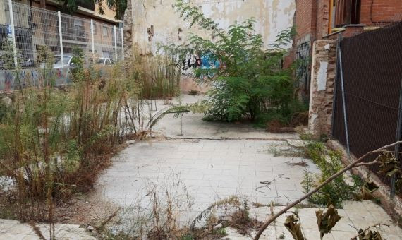 Descampado de la calle de Acàcies, donde abundan las ratas / AP