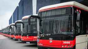 Un grupo de buses de TMB, durante una presentación / TMB