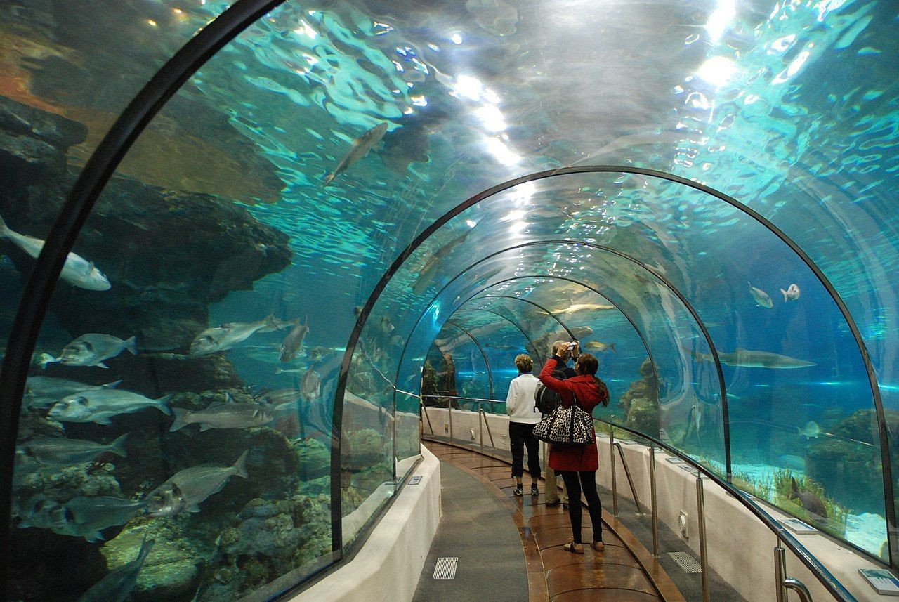 Imagen del interior del Aquarium de Barcelona / PIXABAY