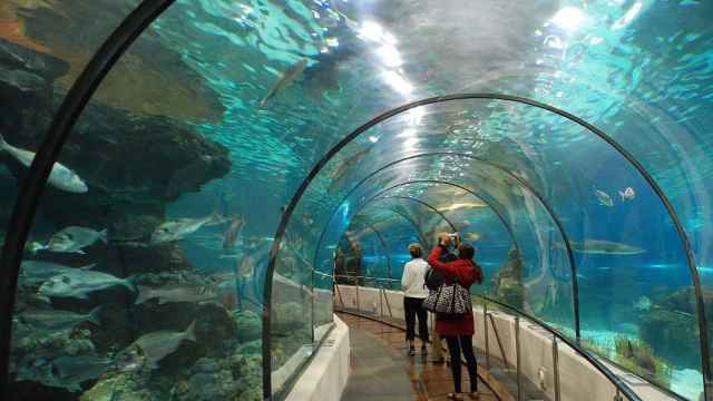 Imagen del interior del Aquarium de Barcelona