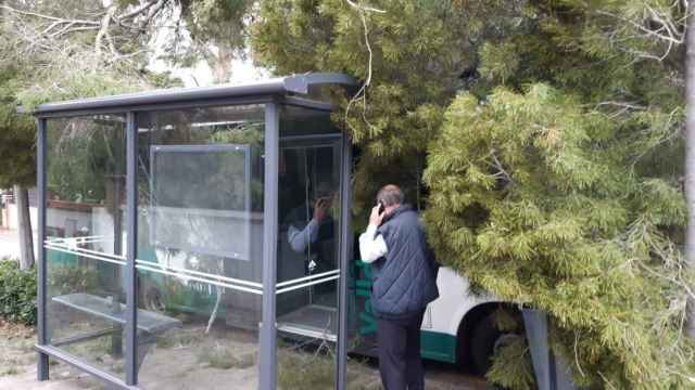 Un pino cae sobre un bus en Valldoreix / TWITTER EMDVALLDOREIX