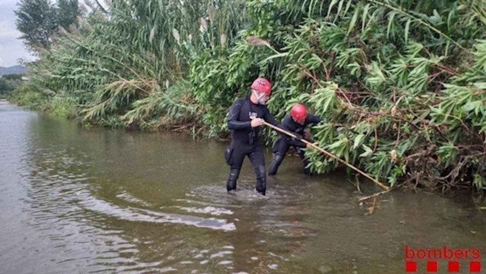 Bomberos de la Generalitat, en el río Besòs, cuando se buscó al bebé arrojado en septiembre / BOMBERS DE LA GENERALITAT