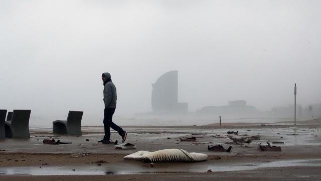 Imagen de archivo de la playa de la Barceloneta tras el temporal Gloria