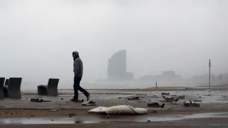 Ecologistas en Acción: “Construir en el Delta del Llobregat nos aboca al desastre, como ha ocurrido en Valencia”